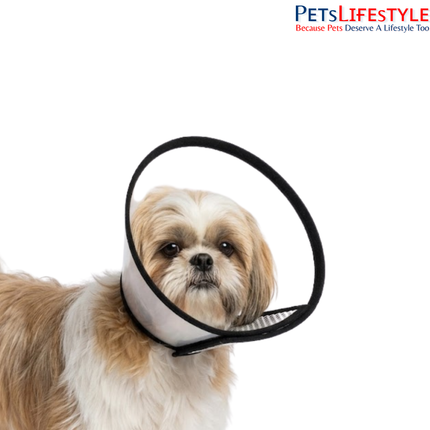 Elizabethan Collar for Dogs, Cats & Rabbits – Protective Recovery Cone (E-Collar)