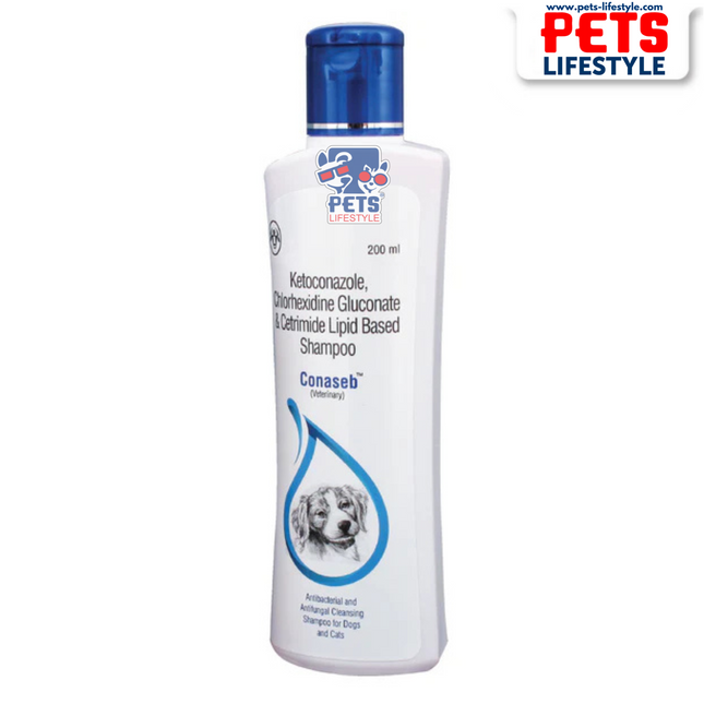 Intas Conaseb Antibacterial Antifungal Shampoo
