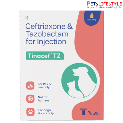 Tineta Tinacef-TZ Ceftriaxone & Tazobactam Injection for Dogs & Cats