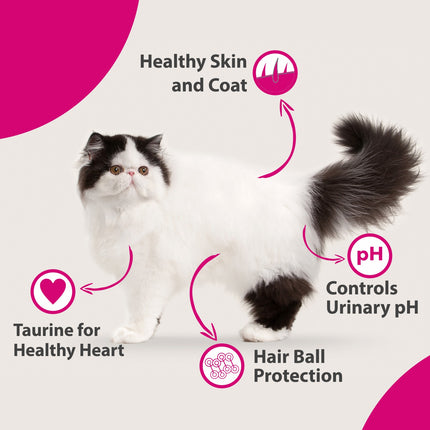 Maxi Maintenance Cat Adult Food 20kg