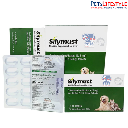 Silymust Liver Support Tablets for Large Dogs (16–55+ kg)