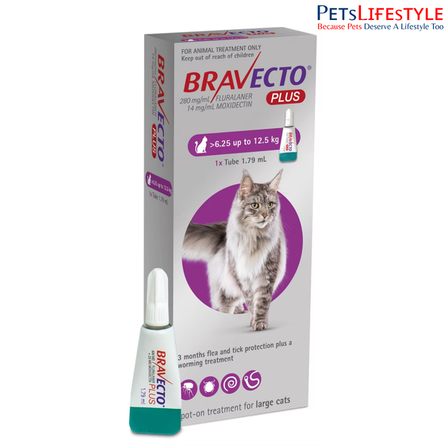 MSD Animal Health Bravecto 500mg (Fluralaner) Spot On for Large Cats (1 tube) Spot-On Tick, Flea & Worm Treatment – 6.25–12.5kg