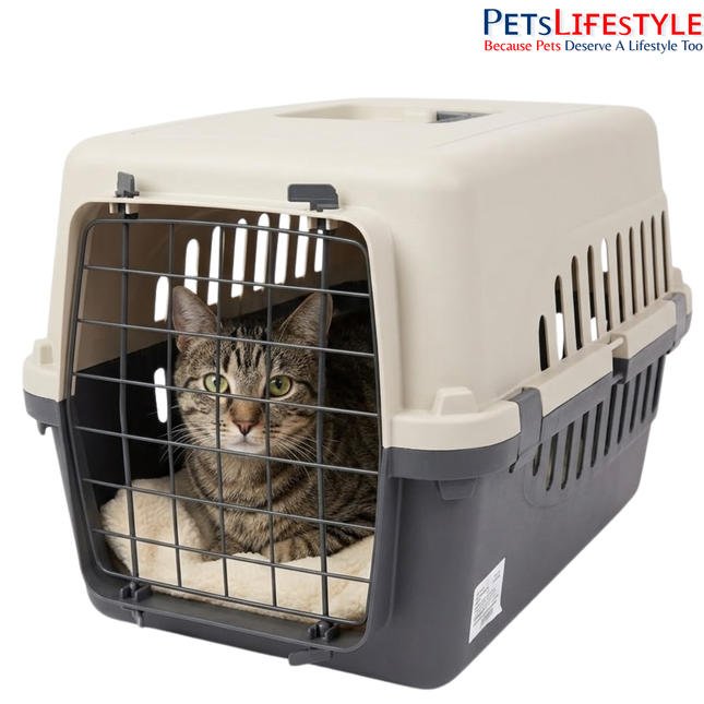 Canine Desk Flight Carrier (19.96 × 12.99 × 13.07 inches) – IATA Approved Airline Travel Crate for Dogs (Small)