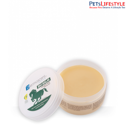 Dermoscent BIO BALM for Horses – Nourishing & Protective Skin Balm