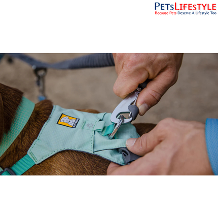 Ruffwear Double Track Coupler | Shock-Absorbing Two-Dog Leash Adapter