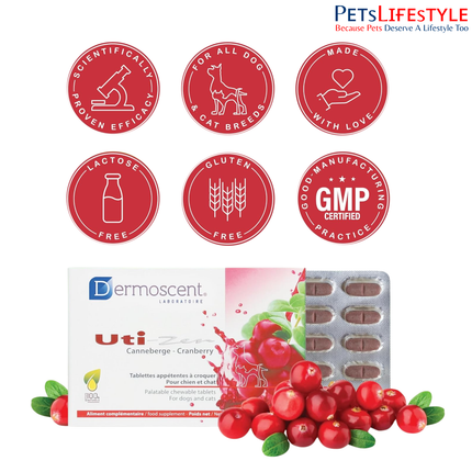 Dermoscent Uti-Zen Urinary Tract Health Supplement for Dogs & Cats (30 Tablets)
