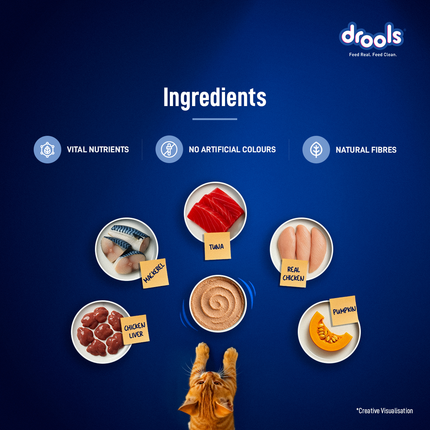 Drools Ocean Fish Mousse Kitten 80g (5+1 Pack)