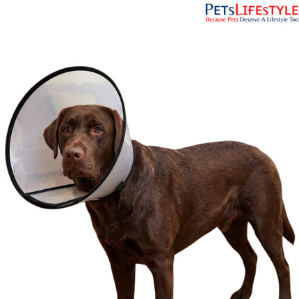 Elizabethan Collar for Dogs, Cats & Rabbits – Protective Recovery Cone (E-Collar)