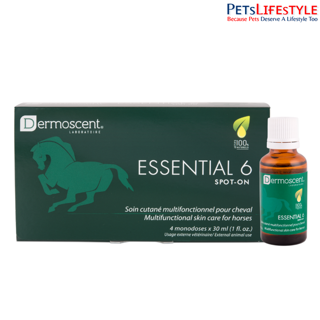 Essential 6 Spot-on for Horses – Advanced Skin & Coat Care Solution