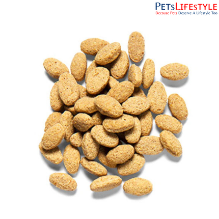 ZuPreem Natural Avian Pellet Diet Medium & Large Bird Food 1.4 Kg
