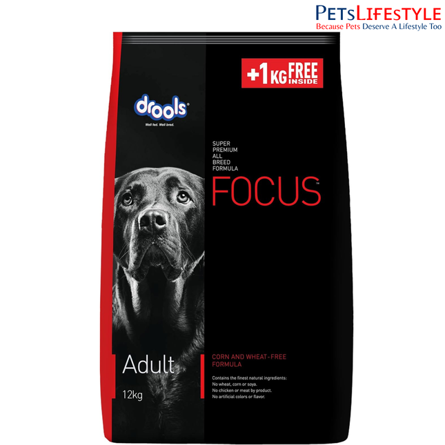 Drools Focus Super Premium Adult Dog Dry Food