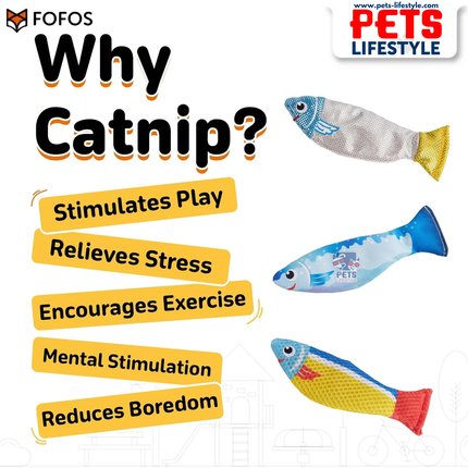 FOFOS Sardine Catnip Toy 3-Pack Fully Catnip-Filled, Multi-Texture Interactive Fish Toys