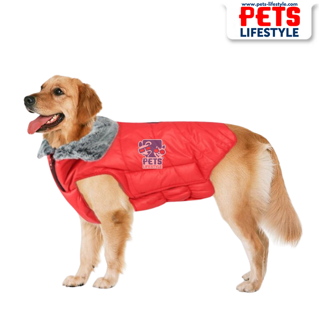 Fur Jacket for Dogs – Luxe Winter Wear by PᴇᴛsLɪғᴇsᴛʏʟᴇ