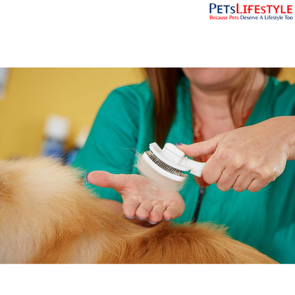 Andis Self-Cleaning Slicker Brush for Dogs & Cats – Lime Green