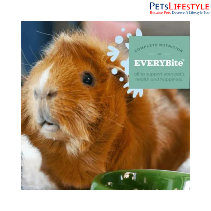 Oxbow Essentials Adult Guinea Pig Food 2.25kg – High Fiber Timothy Hay Diet for Guinea Pigs