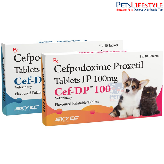 Sky EC Cef DP Tablets | Cefpodoxime Proxetil Tablets for Dogs & Cats | Broad-Spectrum Veterinary Antibiotic