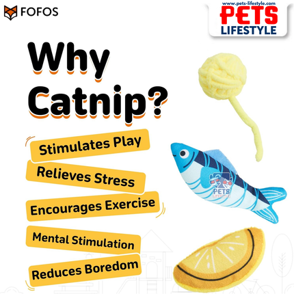 FOFOS Sardine Cat Toy 9 Pack Catnip-Infused Multi-Texture Toys for Batting & Swatting