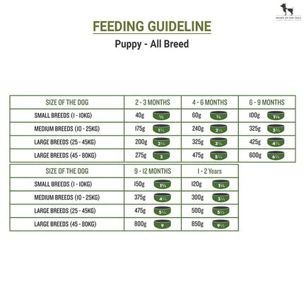 Signature Grain Zero Puppy Dog Dry Food - 1.2 kg - Real Chicken, Eggs and Fresh Vegetables | Grain, Gluten & GMO Free