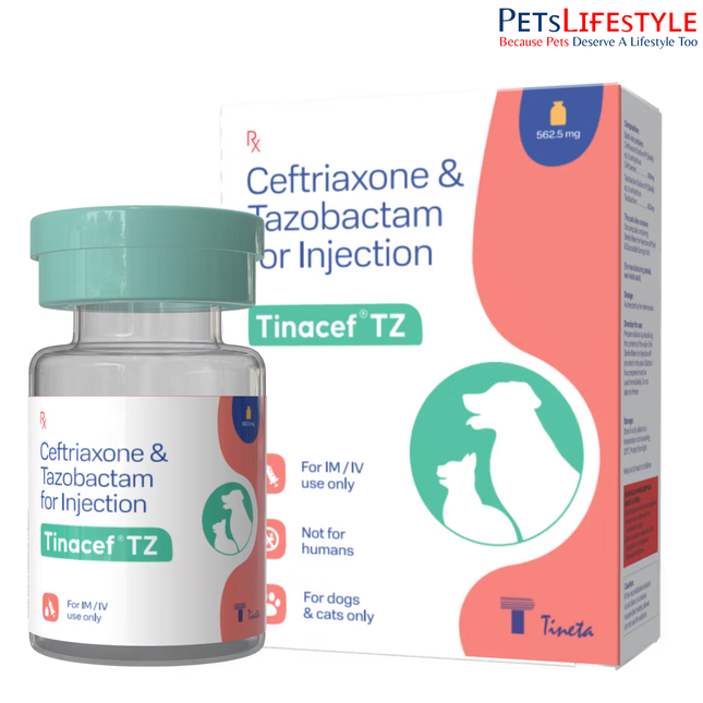 Tineta Tinacef-TZ Ceftriaxone & Tazobactam Injection for Dogs & Cats