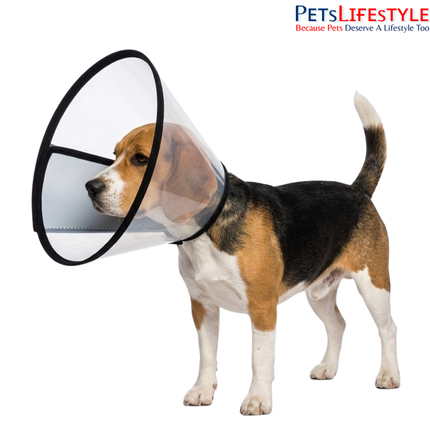 Elizabethan Collar for Dogs, Cats & Rabbits – Protective Recovery Cone (E-Collar)