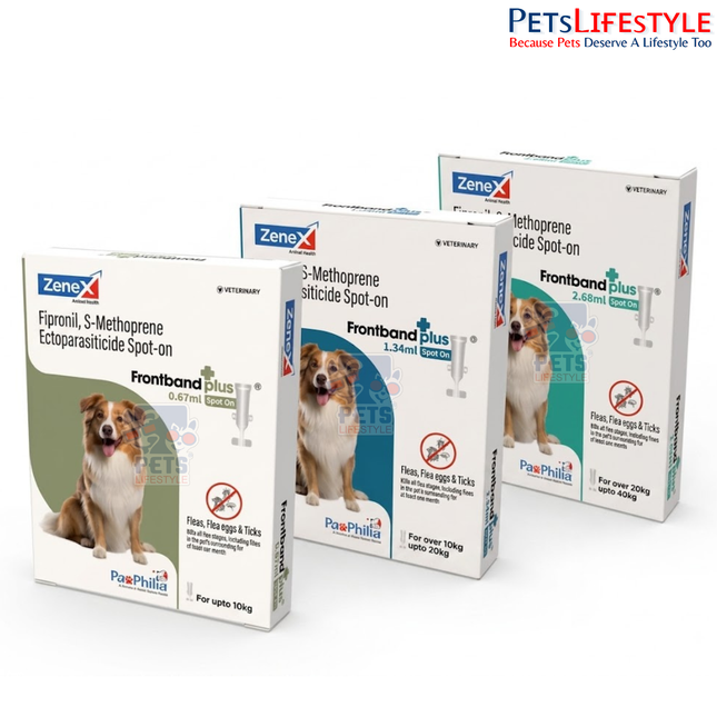 Zenex Frontband Plus Spot On for Dogs