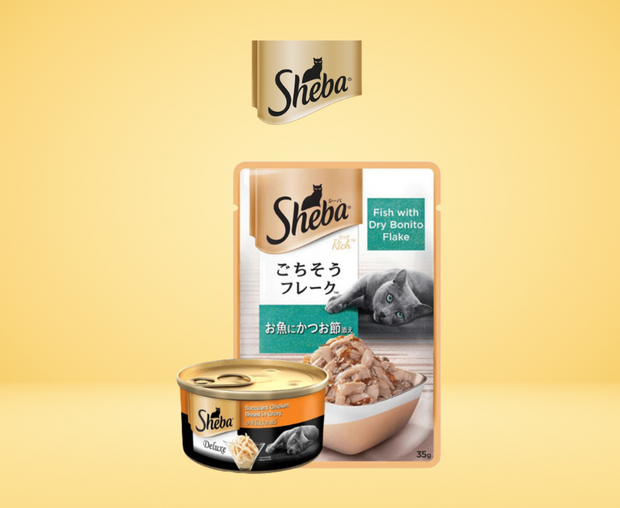 Sheba Kitten Food