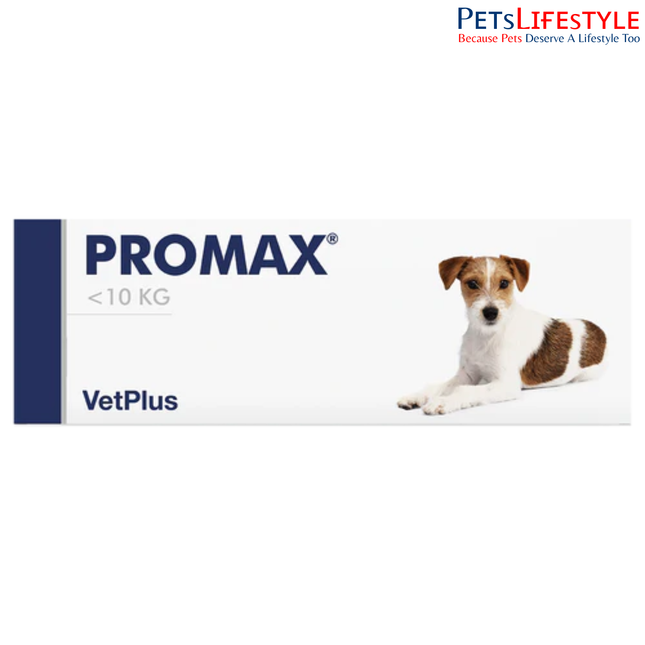 Vetplus Nutraceutical Supplement Promax for Dog (Small Breed 9 ml) Digestive Probiotic Supplement