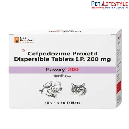 Neo Kumfurt Pawxy – Broad-Spectrum Cephalosporin Antibiotic Tablets for Dogs