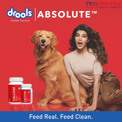 Drools Absolute Calcium Tablet Dog Supplement