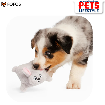 Barkbutler x Fofos Soft & Squeaky Rabbit Puppy Toy
