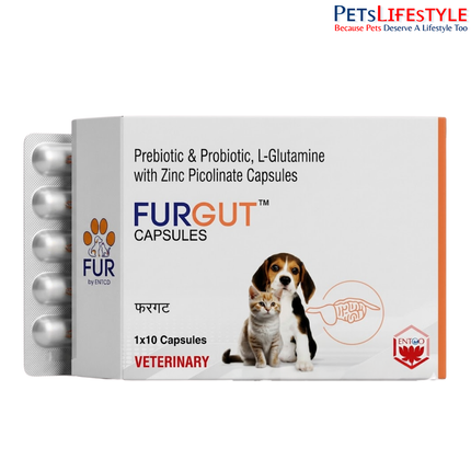 FURGUT™ Capsules for Dogs & Cats – Advanced Probiotic Gut Health Supplement with 3 Billion CFU | Capsules
