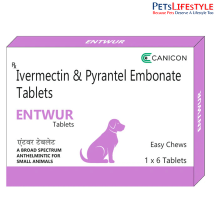 Canicon Entwur Tablet For Dogs