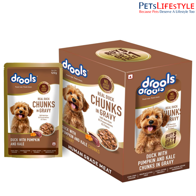 Drools Duck with Pumpkin & Tomato Chunks Gravy 120g (5+1 Pack)