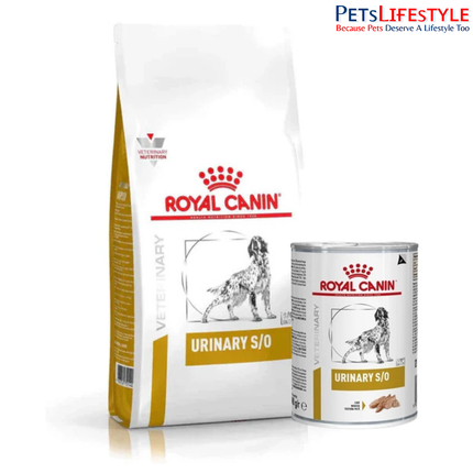 Royal Canin Urinary S/O Dry Food for Dogs + Wet Food Combo Pack