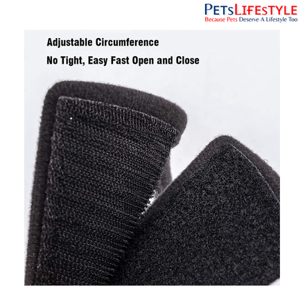 Elizabethan Collar for Dogs, Cats & Rabbits – Protective Recovery Cone (E-Collar)