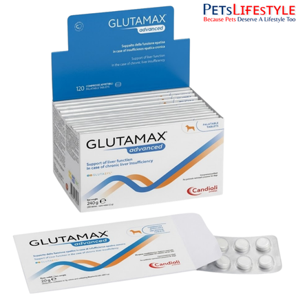 Glutamax Advanced Liver Support Tablets for Dogs & Cats Chronic Liver Care (120 Tablets)