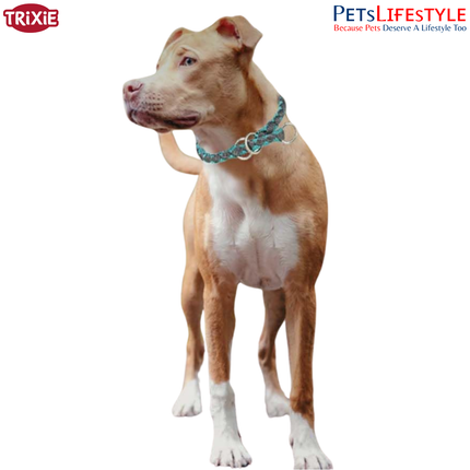 Trixie Cavo Semi-Choke Collar for Dogs | Strong Rope Training Collar with Chrome Chain | Comfortable No-Pull Control
