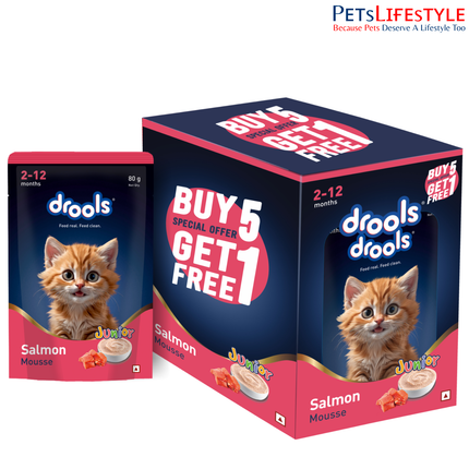 Drools Salmon Mousse Kitten 80g (5+1 Pack)