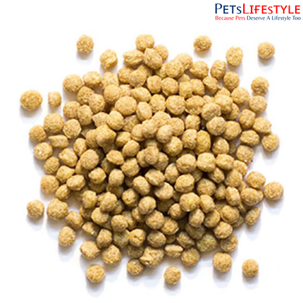 ZuPreem Natural Avian Pellet Diet for Medium Birds Food 1.1 Kg