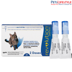 2 Pipette