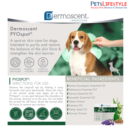 Savavet Dermoscent Pyospot Purifying Spot On for Dogs Between 10 to 20kg (1.2ml x 4 Pipette)