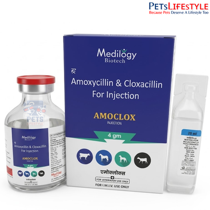 AMOCLOX Vet Injection Broad-Spectrum Veterinary Antibiotic for Bacterial Infections in Livestock
