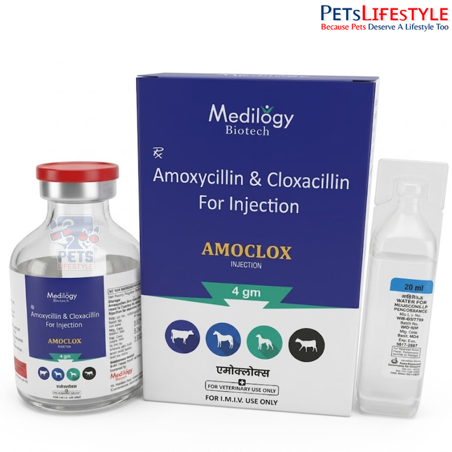 AMOCLOX Vet Injection Broad-Spectrum Veterinary Antibiotic for Bacterial Infections in Livestock
