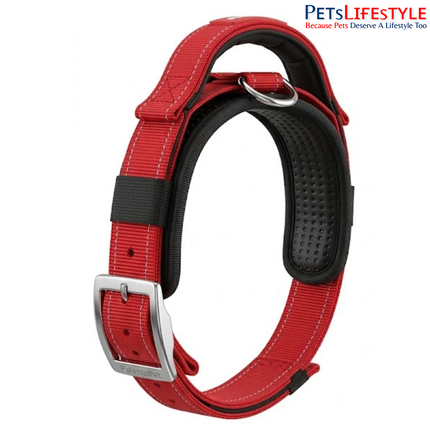 Patento Pet Soft Padded Dog Collar with Integrated Leash | Reflective Weatherproof Collar for Dogs