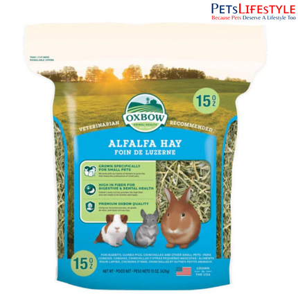 OXBOW Alfalfa Hay 425g – High-Protein Premium Hay for Growing Small Pets