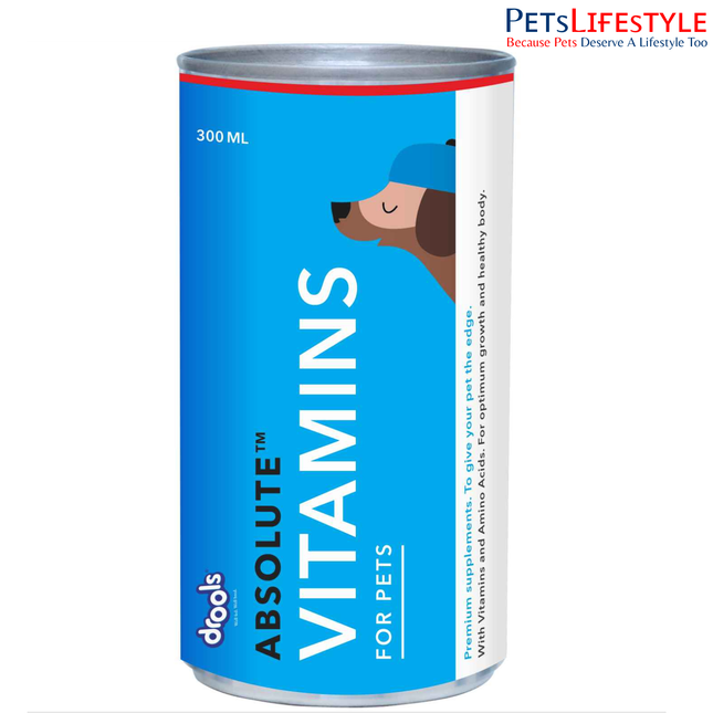 Drools Absolute Vitamin Syrup Supplement for Dogs