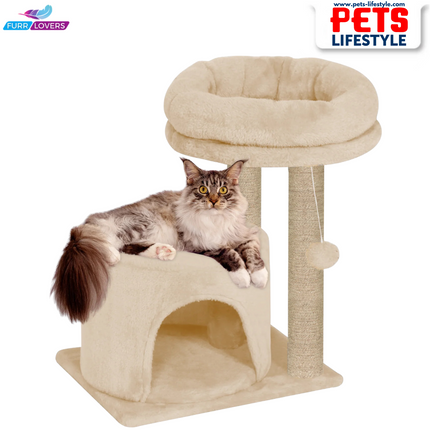 Canine Desk Cozy Cat Tree with Scratching Posts, Platforms and Dangling Toy