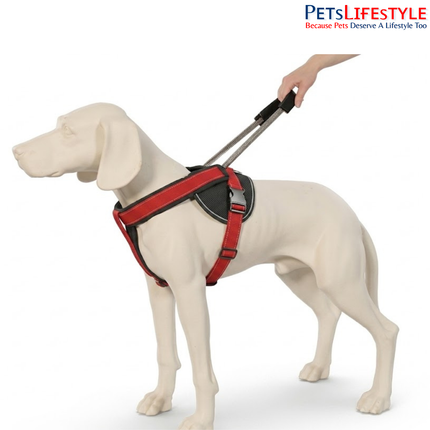 Patento Pet JOCKEY Padded Dog Harness with Integrated Leash | Reflective Soft Nylon Harness for Dogs