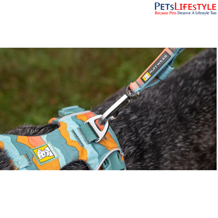 Ruffwear Front Range Short Leash – Spring Fade | Compact Traffic Leash for Dogs