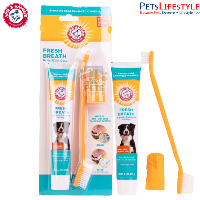 Arm & Hammer Advanced Pet Care Enzymatic Toothpaste & Brush Set for Dogs – Poultry (Chicken) Flavour